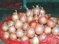 वणीत कांदा आवकेत घट - Marathi News | Decrease onion season | Latest nashik News at Lokmat.com