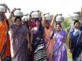 महिलांचे पावसासाठी देवाला साकडे - Marathi News |  Bless God for the rain of women | Latest nashik News at Lokmat.com