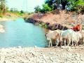 कारंजा तालुक्यात भीषण पाणीटंचाई - Marathi News | Ground water shortage in Karanja taluka | Latest vardha News at Lokmat.com