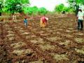 ८९,८४२ हेक्टरवरील पेरण्या धोक्यात - Marathi News | 89, 842 hectare risk of sowing | Latest vardha News at Lokmat.com