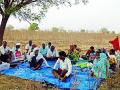शेतकऱ्यांचा जंगलात सत्याग्रह - Marathi News | Satyagraha in the Wilderness of the Farmers | Latest yavatmal News at Lokmat.com