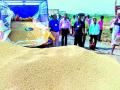 वणीत धान्य खरेदीवर धाड - Marathi News | For the purchase of wheat grains | Latest yavatmal News at Lokmat.com