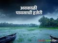 नाशिकच्या दिंडोरी तालुक्यात पाऊस; द्राक्ष पंढरी पुन्हा हादरली - Marathi News | heavy Rain in Nashiks Dindori Taluka grapes producer farmer damage agriculture maharashtra | Latest agriculture News at Lokmat.com