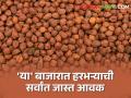 राज्यभरात हरभऱ्याची आवक घटली; आज कुठे किती मिळाला दर? | Market Yard Rates - Marathi News | Gram price market yard imports declined across the state Where did you get the rate today? | Latest agriculture News at Lokmat.com