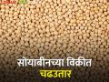 soybean market: राज्यात सोयाबीन आवक मंदावली, आज सकाळच्या सत्रात २४४ क्विंटल - Marathi News | | Latest agriculture News at Lokmat.com