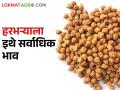 Chick Pea: आज या ४ बाजारसमितींमध्ये हरभऱ्याला मिळतोय सर्वाधिक भाव - Marathi News | | Latest agriculture News at Lokmat.com