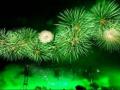 उपराजधानीतील ग्रीन फटाके खरोखर ‘ग्रीन’ होते काय? - Marathi News | Was the green fireworks in the Nagpur really 'green'? | Latest nagpur News at Lokmat.com
