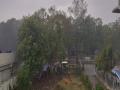 विदर्भात आनंदसरी; कुठे दमदार, तर कुठे हलका पाऊस - Marathi News | Anandsari in Vidarbha; Where strong, where light rain | Latest nagpur News at Lokmat.com