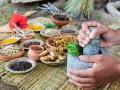 आयुर्वेद प्रॅक्टिसचे नोंदणी शुल्क अवाजवी; नवोदितांना भुर्दंड - Marathi News | Registration fee for Ayurveda practice is unreasonable | Latest yavatmal News at Lokmat.com