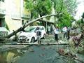 नाशिकरोडला पावसाने नुकसान - Marathi News |  Rainfall loss to Nashik Road | Latest nashik News at Lokmat.com