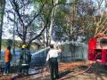 जलविज्ञान प्रकल्पातील झाडांना आग - Marathi News | Fire to trees in hydroelectricity project | Latest nashik News at Lokmat.com