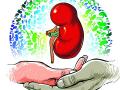राज्यातील अवयवदान मोहिमेला आरटीओचा खोडा - Marathi News | Digging RTO for organ donation campaign in the state | Latest nagpur News at Lokmat.com