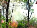काजू बागायतीला आग, शिवडावातील घटना, दोन कुटुंबांत हाणामारी - Marathi News | Fire, casualties, casualties, casualties | Latest sindhudurga News at Lokmat.com