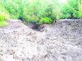 २०० एकरमध्ये घुसले खारे पाणी; एमआयडीसीच्या दुर्लक्षामुळे भातपिकांचे नुकसान - Marathi News | 200 acres of brackish water; Damage to paddy crop due to negligence of MIDC | Latest raigad News at Lokmat.com