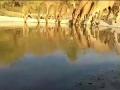 वन्यप्राण्यांचा जीव टांगणीला - Marathi News | Wildlife | Latest chhatrapati-sambhajinagar News at Lokmat.com