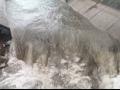 Breaking; अरे देवा...सांगोल्यात कालवा फुटला; लाखो लिटर पाणी पिकात - Marathi News | The canal at Sangola burst; Millions of liters of water were wasted | Latest solapur News at Lokmat.com