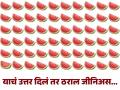 खतरनाक चॅलेंज! 7 सेकंदात कलिंगडाची वेगळी फोड शोधून दाखवा, मोठे जीनिअस लोकही झाले फेल... - Marathi News | Optical illusion : Can you find the different watermelon in the picture in 7 seconds | Latest social-viral News at Lokmat.com
