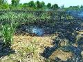 चार एकरातील ऊस जळाला - Marathi News | Burned sugarcane four in four | Latest amravati News at Lokmat.com
