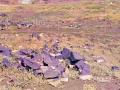 २० लाख ३९ हजार रूपये खर्चूनही तलाव कोरडा - Marathi News | Taking Tk 20 lakhs 39 thousand rupees to dry the pond | Latest chandrapur News at Lokmat.com