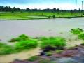 जिल्ह्यातील सात सिंचन प्रकल्प तुडूंब - Marathi News | Seven irrigation projects in the district | Latest chandrapur News at Lokmat.com