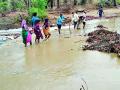 जिल्ह्यात पावसाची हजेरी - Marathi News | Rainfall in the district | Latest chandrapur News at Lokmat.com