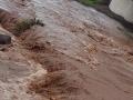 दिंडोरी तालुक्याला पावसाचा जोरदार तडाखा - Marathi News | Dindori taluka hit heavy rains | Latest nashik News at Lokmat.com