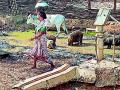 २५ पेक्षा जास्त हातपंप नादुरूस्त - Marathi News | More than 25 handpumps are unheard of | Latest gadchiroli News at Lokmat.com