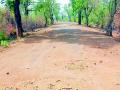 तळेगाव-राजोली मार्गाची दुर्दशा - Marathi News | The plight of the Talegaon-Rajoli route | Latest gadchiroli News at Lokmat.com
