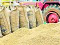 धानाचा बाेनस कधी मिळणार ? - Marathi News | When will I get the grain bonus? | Latest gadchiroli News at Lokmat.com