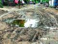 अनखोडातील रस्ते बनले चिखलमय - Marathi News | The roads in Ankhoda became muddy | Latest gadchiroli News at Lokmat.com