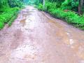 बिजेपार-मरामजोब रस्ता झाला चिखलमय - Marathi News | The Bijepar-Maramjob road became muddy | Latest gondia News at Lokmat.com
