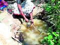 त्यांना गढूळ पाण्याने भागवावी लागते तहान - Marathi News | They have to deal with turbid water thirst | Latest gondia News at Lokmat.com