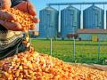 शेतकऱ्यांची पहिली औद्योगिक वसाहत - Marathi News |  The first industrial estate of the farmers | Latest jalana News at Lokmat.com