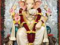 अंधेरीच्या राजाचा गणेशोत्सव साधेपणाने होणार साजरा - Marathi News | Ganeshotsav of King of Andheri will be celebrated with simplicity | Latest mumbai News at Lokmat.com