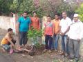 "एक व्यक्ती एक वृक्ष" अभियानास प्रारंभ - Marathi News | Launch the "One Person One Tree" campaign | Latest nashik News at Lokmat.com