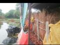 पाटणेत अतिवृष्टीने पिके पाण्याखाली - Marathi News | Crops under water in Patna due to heavy rains | Latest nashik News at Lokmat.com