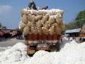 कापूस व्यापाऱ्याला साडेपाच लाखांचा गंडा - Marathi News | Five and a half lakh rupees to a cotton trader | Latest nandurbar News at Lokmat.com