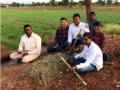 गड्या ते सुंदर दिन हरपले... - Marathi News | Gadya lost that beautiful day ... | Latest nandurbar News at Lokmat.com