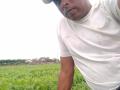 तीन एकरावरील कोथिंबिरीतून शेतकऱ्याला मिळाले १७ लाख - Marathi News | The farmer got three lakhs of acre from Kothimbiri | Latest nashik News at Lokmat.com