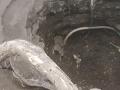 आगीतून विहिरीत पडलेल्या बिबट्याची यशस्वी चढाई - Marathi News | Successful climb of a leopard that fell into a well from a fire | Latest nashik News at Lokmat.com