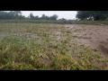 वनविभागाचा मातीबंधारा फुटला - Marathi News | The earthen embankment of the forest department burst | Latest nashik News at Lokmat.com