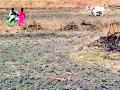 नेरमधील २२ गावांत पाण्यासाठी हाहाकार - Marathi News | Laughing water in 22 villages in Ner | Latest yavatmal News at Lokmat.com