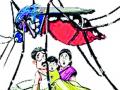 सहा महिन्यांत डेंग्यूचे ४१ रूग्ण - Marathi News | 41 dengue patients in six months | Latest yavatmal News at Lokmat.com