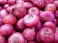 प्रवेशद्वारात कांदे ओतून आंदोलन - Marathi News | Onion movement in the entrance | Latest nashik News at Lokmat.com