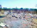 पंचवटीत भूखंडावर कचऱ्याचे साम्राज्य - Marathi News |  Waste Empire at Panchavati | Latest nashik News at Lokmat.com