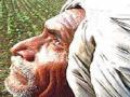 शेतकऱ्यांची चिंता संपता संपेना - Marathi News | End the worry of farmers | Latest jalana News at Lokmat.com
