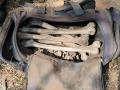 कोल्हापुरात तपोवन मैदानात बॅगेत आढळली हाडे, परिसरात खळबळ - Marathi News | Bones found in a bag in Tapovan plain in Kolhapur | Latest kolhapur News at Lokmat.com