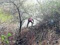 भानखेडा जंगलाला आग - Marathi News | Bhankheda forest fire | Latest amravati News at Lokmat.com