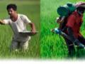 शेती करायची की, सोडून द्यायची? तणनाशक, खते दुप्पट महागले! - Marathi News | Farming or quitting? Weed killers, fertilizers twice as expensive! | Latest amravati News at Lokmat.com