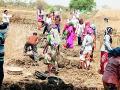 १३ हजार मजुरांना मिळाले काम - Marathi News | 13 thousand laborers got work | Latest bhandara News at Lokmat.com